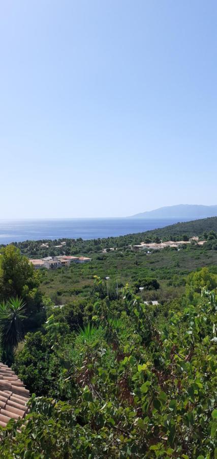 Easy Wind Homestay